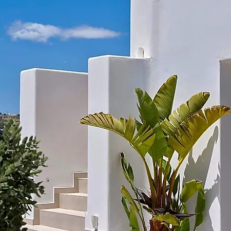 Le Palme Mykonos Hotel Mykonos Town